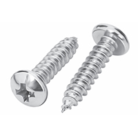 Pan Philips Screw